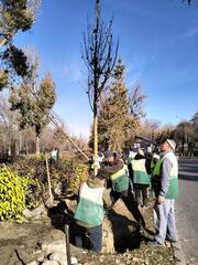 В Алматы проведены свыше 500 экологических мероприятий с общим охватом более 570 тыс. молодых людей