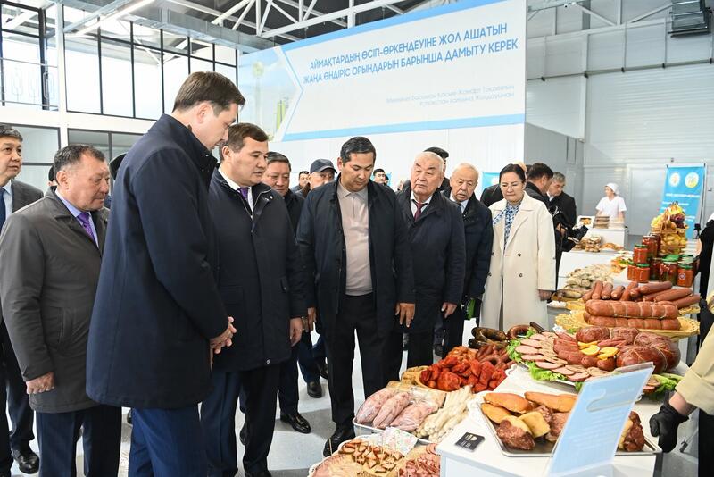 В Кызылорде открылась малая промышленная зона «Тұмар»