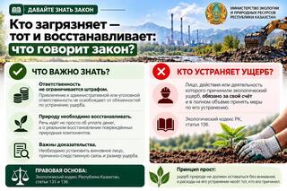 Кто загрязняет — тот и восстанавливает: что говорит закон?