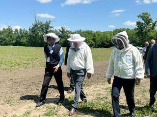 Впервые в ВКО прошел конкурс «Лучший пчеловод региона»