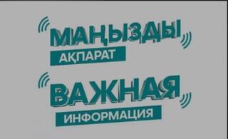 Когда откроется очередь на зачисление детей в творческие секции в столице