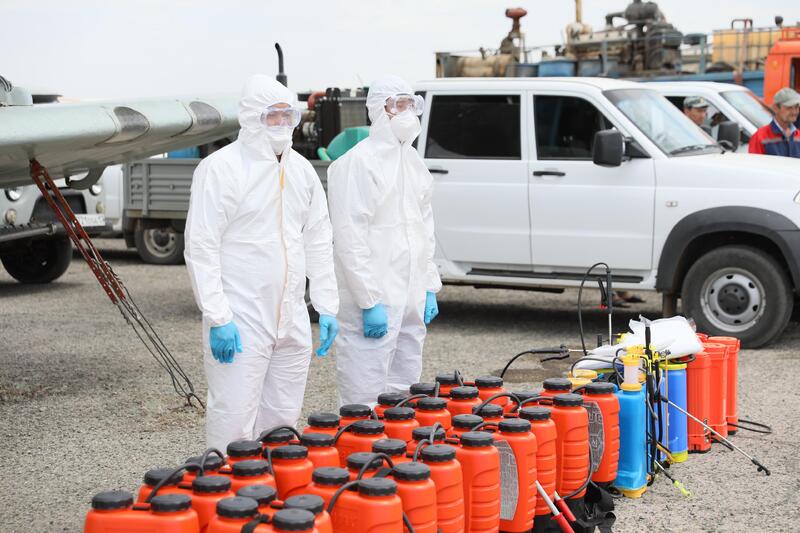 Борьба с саранчой: 850 специалистов мониторят обстановку в Актюбинской области