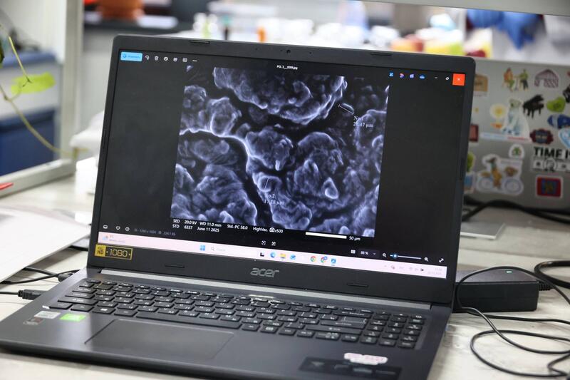 Ученые Сатпаева разработали ценные материалы из сельхозотходов