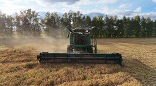 Костанайская область приступила к уборочной кампании