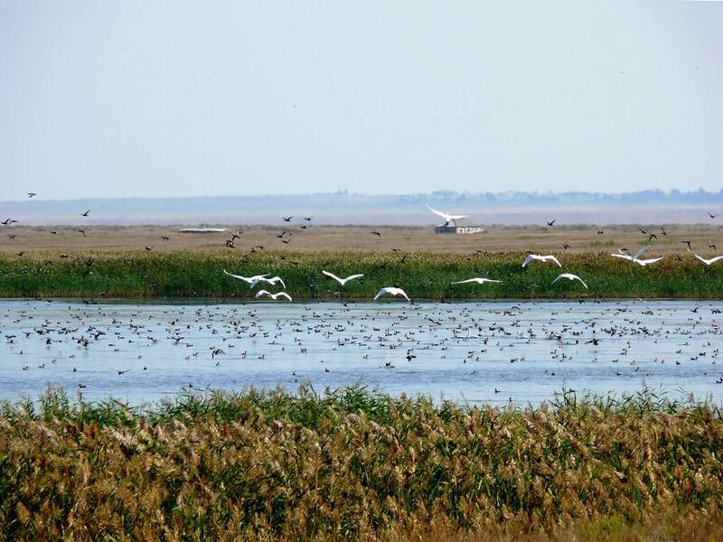 Развитие туризма и сохранение культурного наследия