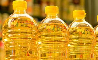 Tiryaki Agro построит в СКО маслоэкстракционный завод