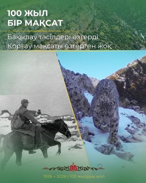 Дикая природа, которую сохраняют уже целый век
