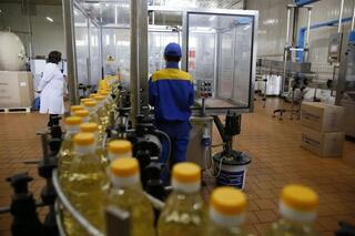 Казахстан способен закрыть потребности стран Средней Азии в подсолнечном масле: