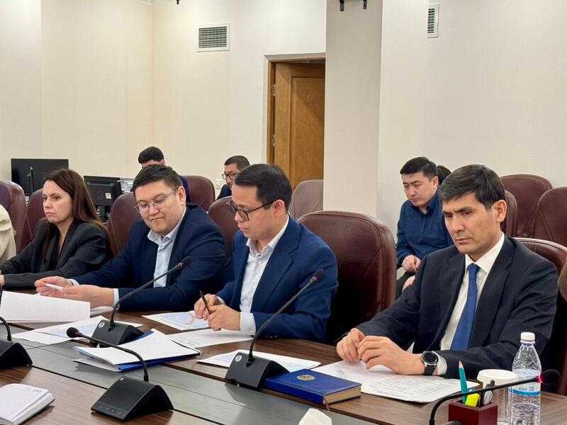 А.АЛЬНАЗАРОВА ПРОВЕЛА ВСТРЕЧУ С ПРЕДСТАВИТЕЛЯМИ МИС ПО ВОПРОСАМ ИСПОЛНЕНИЯ ПОРУЧЕНИЯ ГЛАВЫ ГОСУДАРСТВА