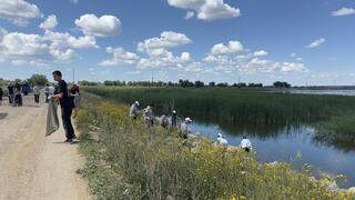 «Таза Қазақстан»: 70 молодых саранцев привели в порядок территорию водохранилища