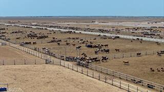 Олжас Бектенов: Возвращенные в госфонд 11 млн га неиспользуемых сельхозземель распределены населению на развитие животноводства