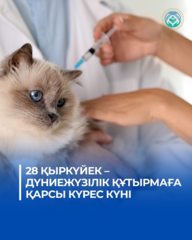 28 ҚЫРКҮЙЕК – ДҮНИЕЖҮЗІЛІК ҚҰТЫРМАҒА ҚАРСЫ КҮРЕС КҮНІ