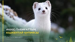 «Познай природу» | Не обманывайся милой внешностью!