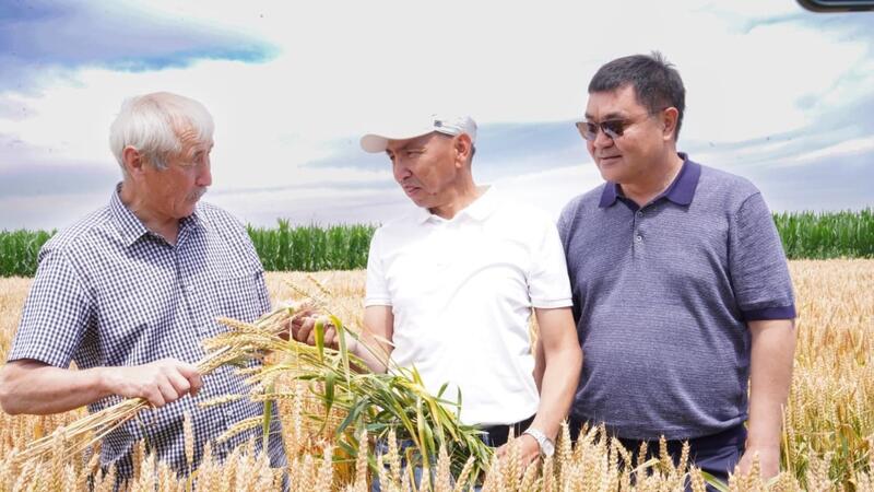 В области Жетісу обсудили современные технологии повышения продуктивности зерновых культур
