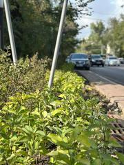 Заместитель акима Алматы Алмасхан Сматлаев посетил мкр. Теректы