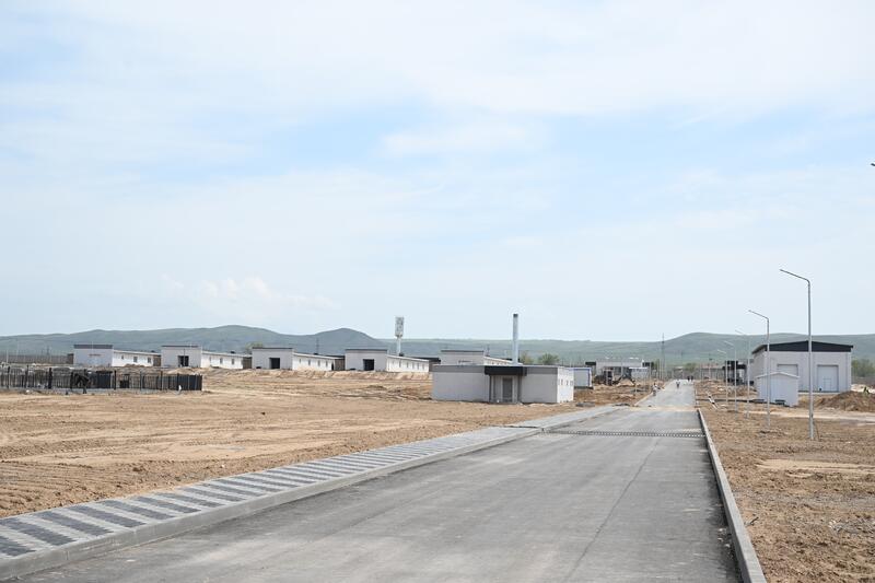 В Жетісу строится центр по разведению собак пород тазы и тобет