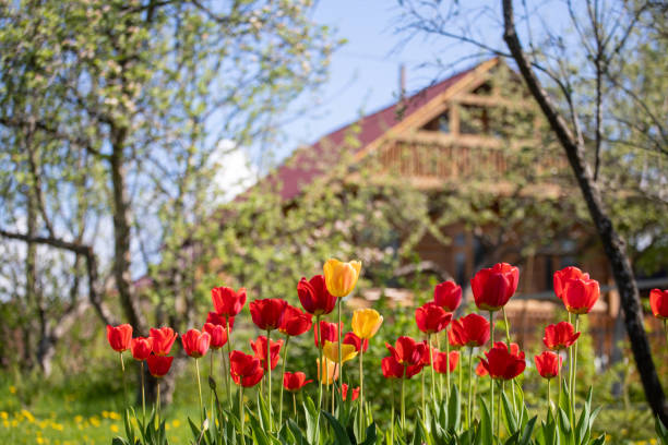 В Алматинской области продолжается масштабное включение дачных массивов в состав населённых пунктов