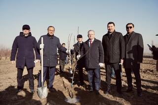 Казахстан и Россия реализуют совместный проект по развитию интенсивного садоводства