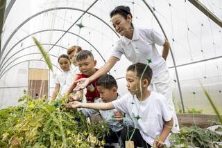 Школьники в Жетысу развивают тепличное дело на уроках биологии
