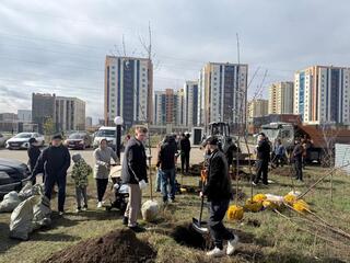 Около 30 тыс. человек и 100 тонн мусора: в Астане прошла масштабная экоакция «Таза қала»