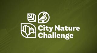 Караганда присоединится к международной акции City Nature Challenge