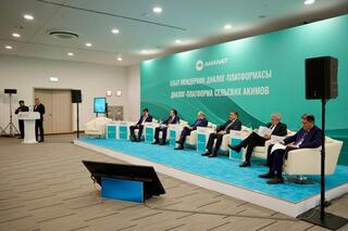 За 5 лет в селах Казахстана обновят 79 тысяч км электросетей