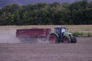 Уборка картофеля в разгаре: в Жетісу ожидают собрать урожай объемом 130 тыс. тонн