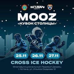 Турнир по Cross Ice Hockey 4x4 пройдет в Астане