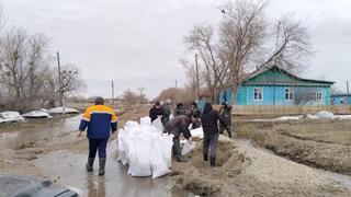 Информация по ситуации в Бородулихинском районе области Абай