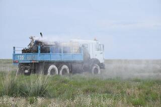 В Актюбинской области обработано 151,2 тысячи гектаров против саранчи
