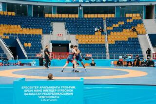 В Алматы прошел чемпионат Казахстана по видам борьбы