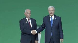 Указ Главы государства