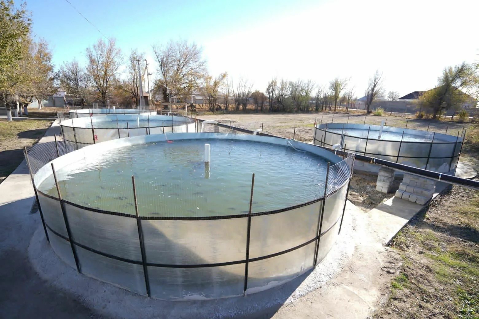 В ТУРКЕСТАНСКОЙ ОБЛАСТИ ПРЕДПРИНИМАТЕЛЯМ РАЗЪЯСНИЛИ МЕРЫ ГОСПРОДДЕРЖКИ ПО РАЗВИТИЮ РЫБНОГО ХОЗЯЙСТВА