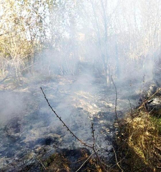 Авиация акимата ВКО участвует в тушении пожара в области Абай