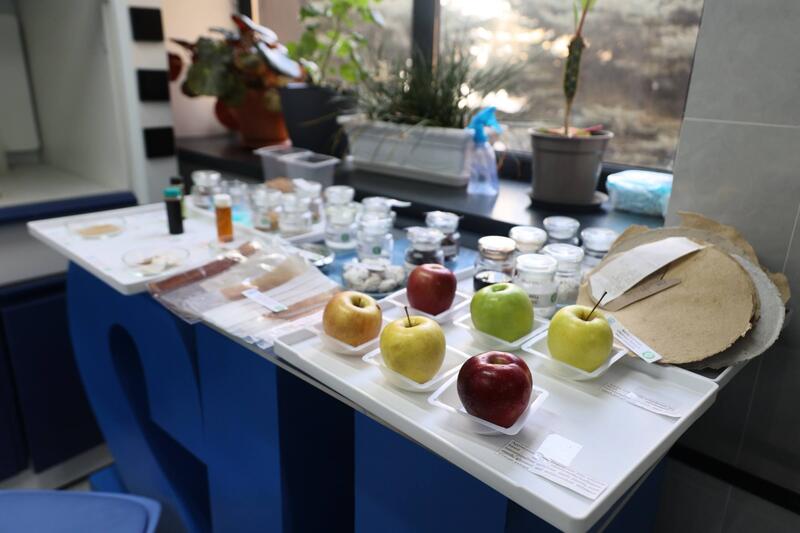 Ученые Сатпаева разработали ценные материалы из сельхозотходов