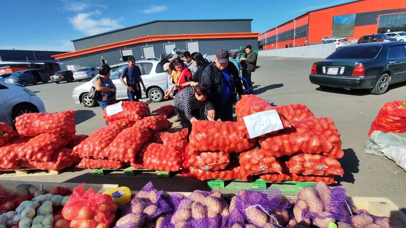 Сельхозярмарки по стране: цены, эмоции, статистика