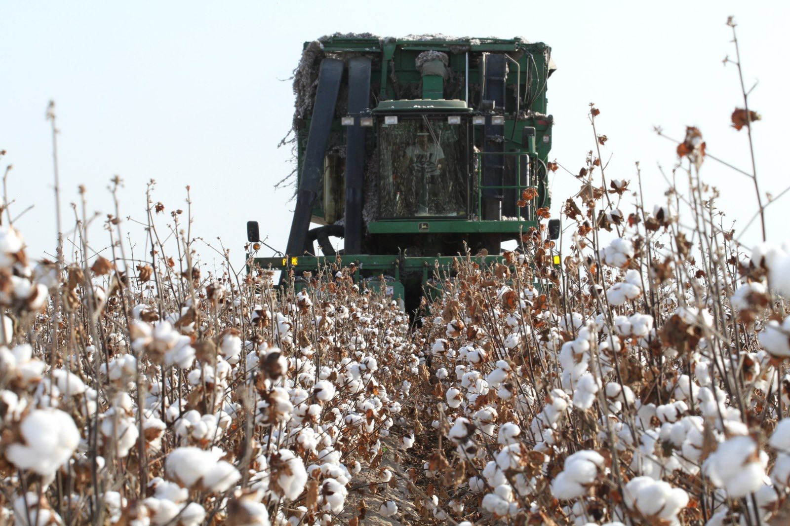 ТУРКЕСТАН: В МАКТААРАЛЬСКОМ РАЙОНЕ ЗА ПРОШЛЫЙ ГОД ПРОИЗВЕДЕНО СЕЛЬХОЗПРОДУКЦИИ НА 85,7 МЛРД ТЕНГЕ