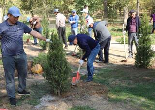 В РАМКАХ ИНИЦИАТИВЫ «ТАЗА ҚАЗАҚСТАН» В САРЫАГАШЕ ПРОВЕДЕНЫ РАБОТЫ ПО БЛАГОУСТРОЙСТВУ И ОЧИСТКЕ ТЕРРИТОРИЙ