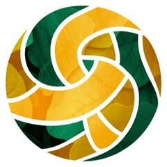 В Казахстане повышен размер обязательного пенсионного взноса работодателя