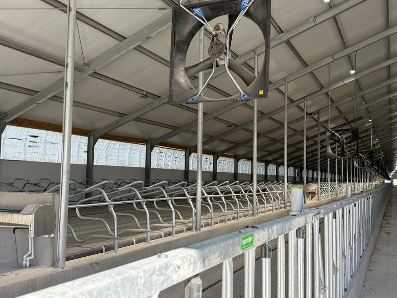 На современной молочной ферме в Актюбинской области планируется производить до 20 тысяч тонн молока в год