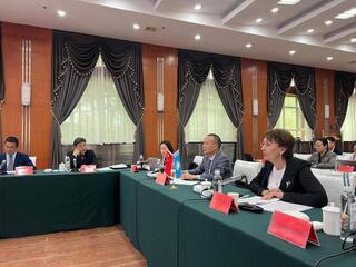 В рамках экологического сотрудничества между Казахстаном и Китаем состоялось заседание рабочей группы по оценке качества воды трансграничных рек