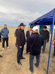 В Алматинской области продолжается плановая кампания по борьбе с саранчой