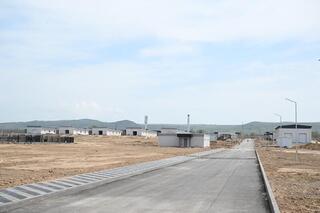 В Жетісу сроится центр по разведению собак пород тазы и тобет