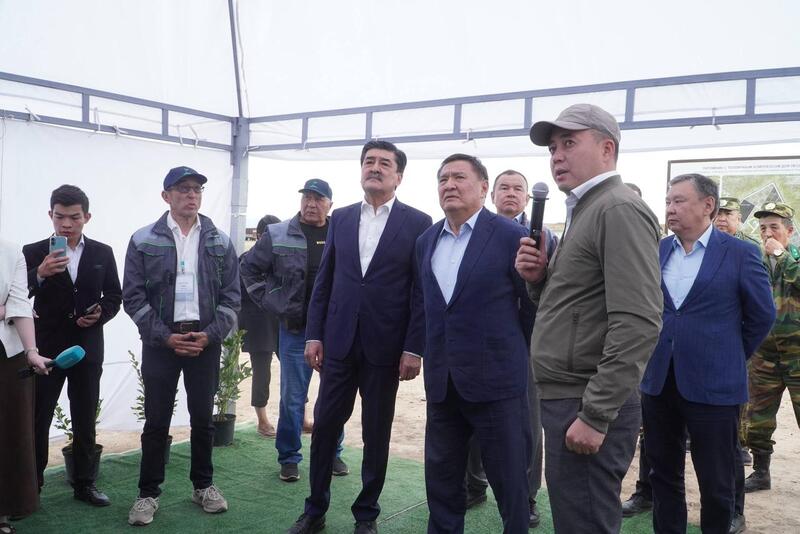 В Акмолинской области развивается производство отечественного посадочного материала