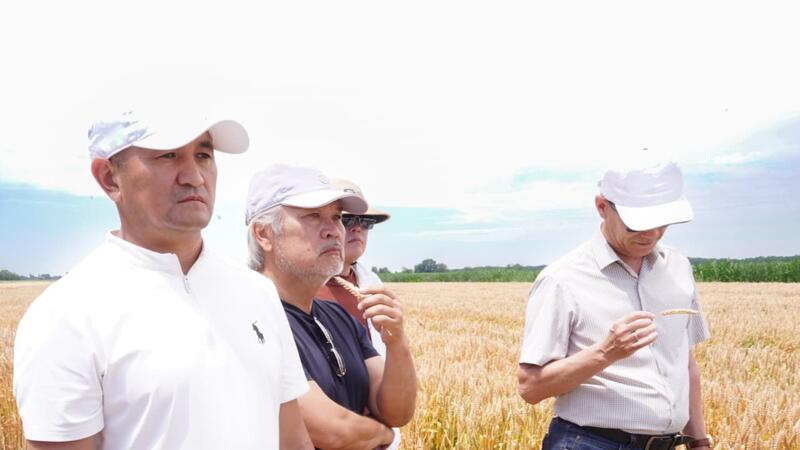 В области Жетісу обсудили современные технологии повышения продуктивности зерновых культур