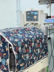 28 дней в реанимации: в Алматы спасли новорожденную весом 730 граммов