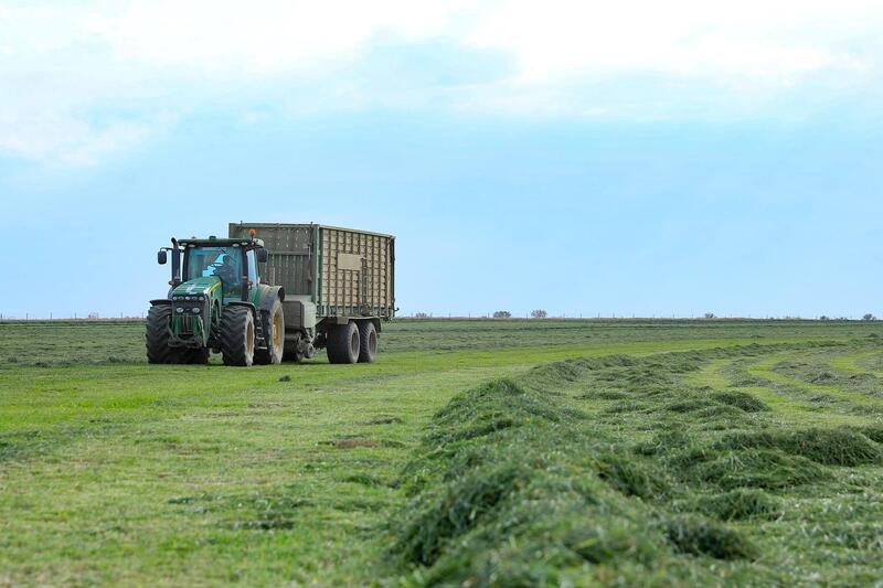В Актюбинской области стартовала уборочная кампания