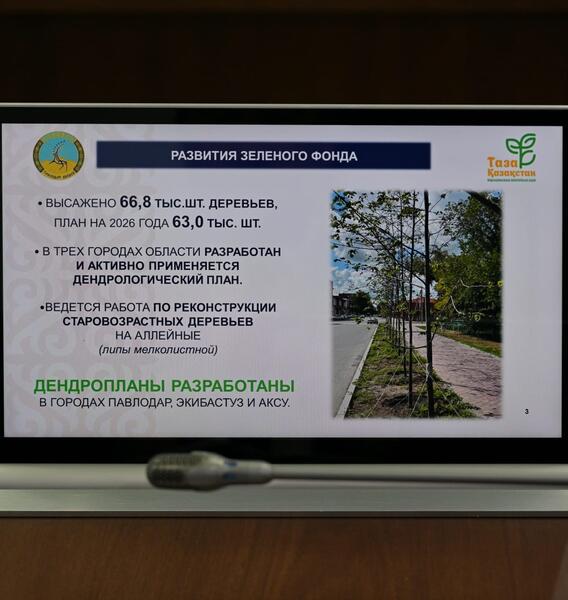 Сегодня в акимате области рассмотрели вопросы благоустройства и санитарной очистки населенных пунктов