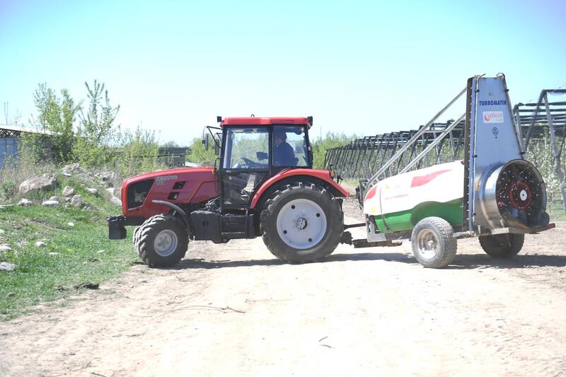 Яблоневые сады Алматинской области: от цветения к богатому урожаю