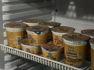 Завод по переработке молочной продукции мощностью 30 тонн в сутки запустили в ВКО